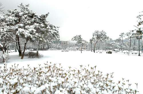 Hanam City Hanam City Hall Winter Landscapes