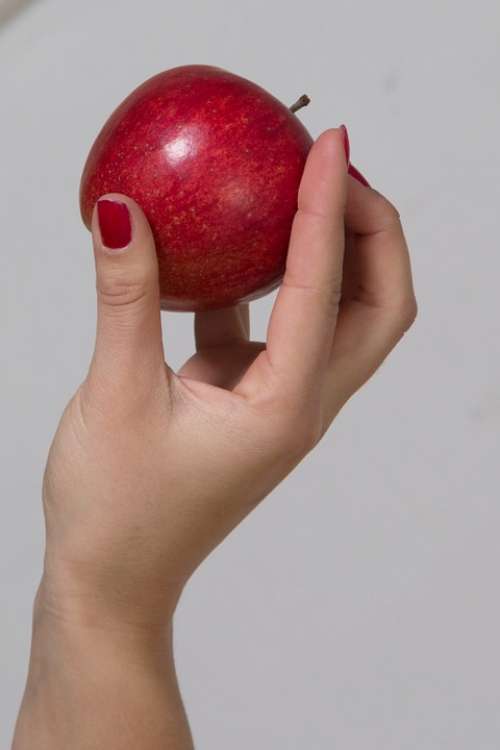 Hand Apple Red Fruit