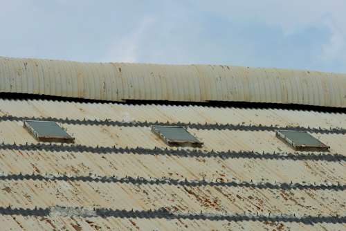 Hanger Roof Corrugated Iron Corrosion Flaking