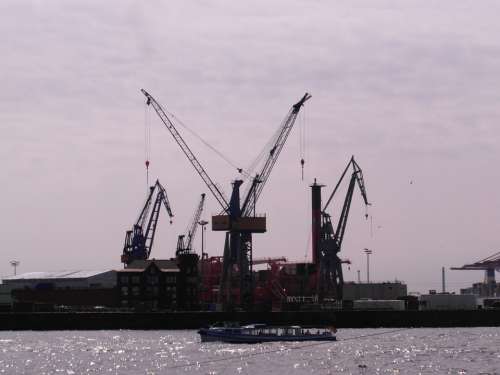 Harbour Cranes Port Hamburg Cranes