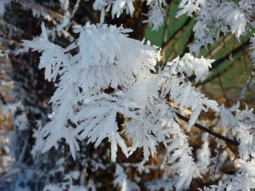Hardest Eiskristalle Frost Winter Winter Magic