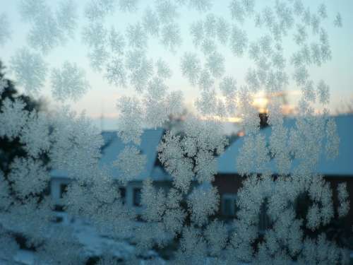 Hardest Eiskristalle Window Winter Winter Magic