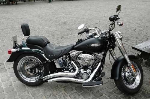 Harley Davidson Fatboy Parked Motorcycle City