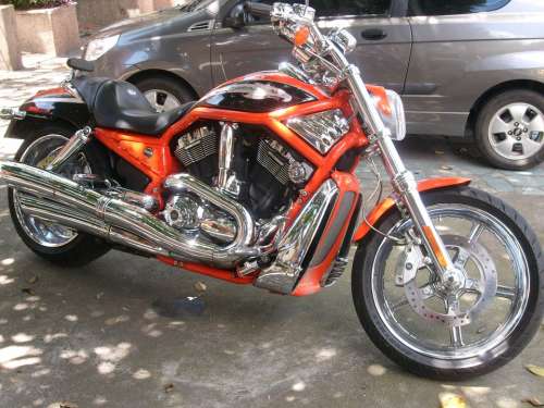Harley Davidson Motorcycle Bike Harley
