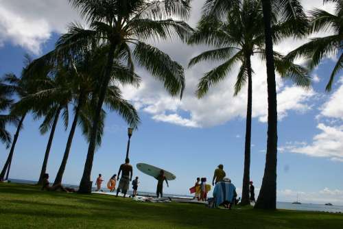 Hawaii Beach Surf Ocean Sea Sport Water Sports