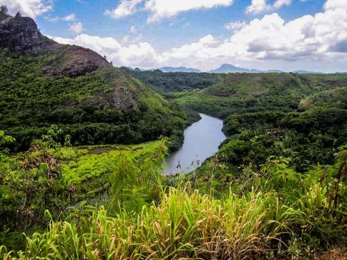 Hawaii Kauai Wailua River Nature Landscape