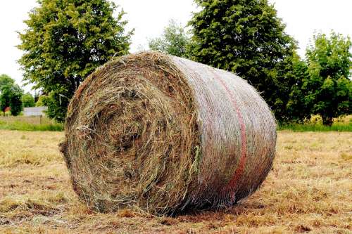 Hay Meadow Round Bales Agriculture