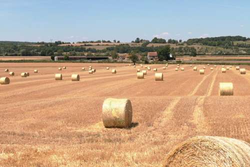 Hay Forage Field Landscape Nature France Rural