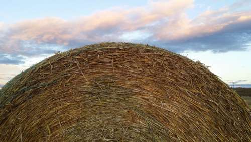 Hay Bale Rural Country Field Farm Bale