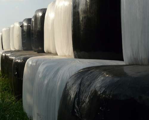 Hay Bales Black And White Bale Hay Round Bales