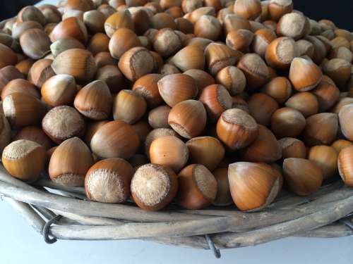 Hazelnuts Nuts Basket Food Eat Fruit Pod