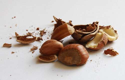 Hazelnuts Nuts Shell Nuclear Food Eat