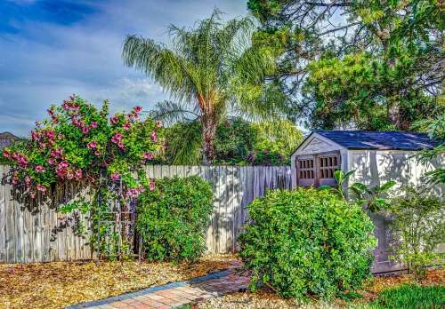 Hdr Fence Shed Flowers Landscape Countryside