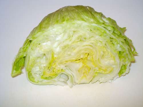 Head Of Lettuce Salad Iceberg Lettuce Vitamins