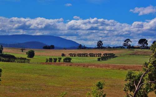 Healesville Australia Nature Western Australia