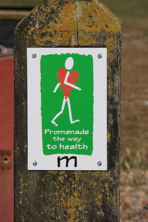 Healthy Walking Signpost Signpost Sign Heart
