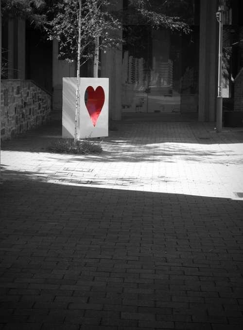 Heart Red Black And White Romance Valentine