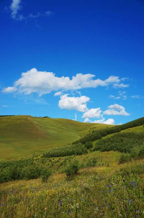 Hebei Fengning Bashang Grassland Blue Sky White Cloud