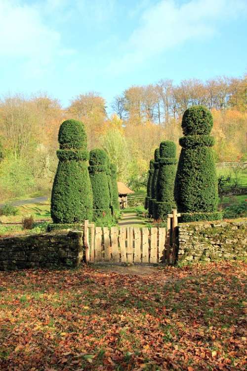 Hedge Garden Goal Garden Gate Fence Boxwood