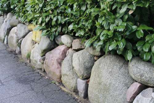 Hedge Stone Wall Stones Green
