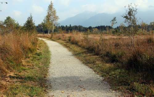 Heide Autumn Away Promenade Path Nature Trail