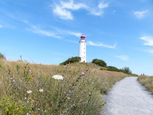 Hiddensee Lighthouse Summer Baltic Sea