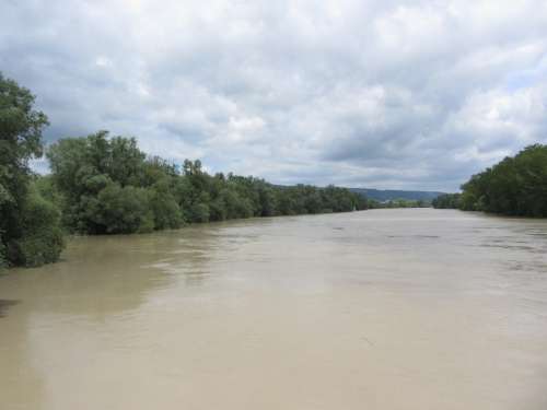 High Water River Tree Landscape Brown Sky