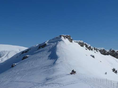 Hiking Mountain Winter Snow White Alps Altitude