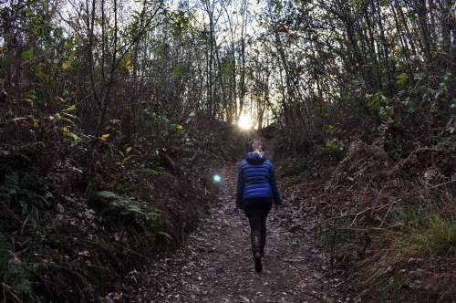 Hiking Blonde Trail Walk Meditation