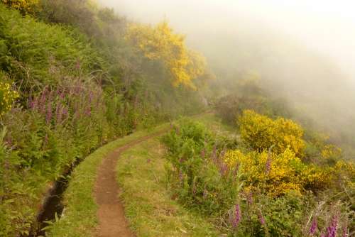 Hiking Madeira Portugal Trail Clouds Fog