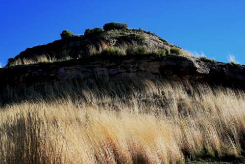 Hill Grass Tall Light Yellow-White Rock Rockface