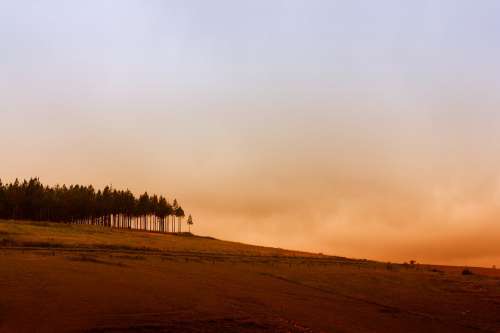 Hill Trees Landscape Country Rural Countryside