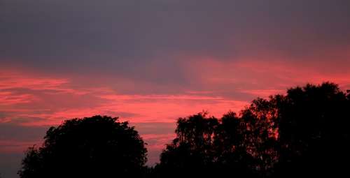 Himmel Cloud Sunset Horizon Tree