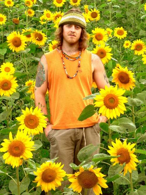 Hippie Sunflowers Yellow Natural Floral Garden