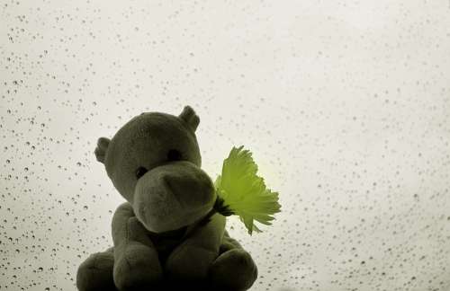 Hippo Raindrops Rain Drops Background Plush Toy