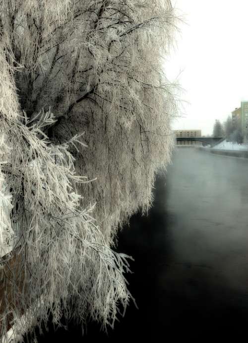 Hoarfrost River Water Winter Snow Ice Scenic