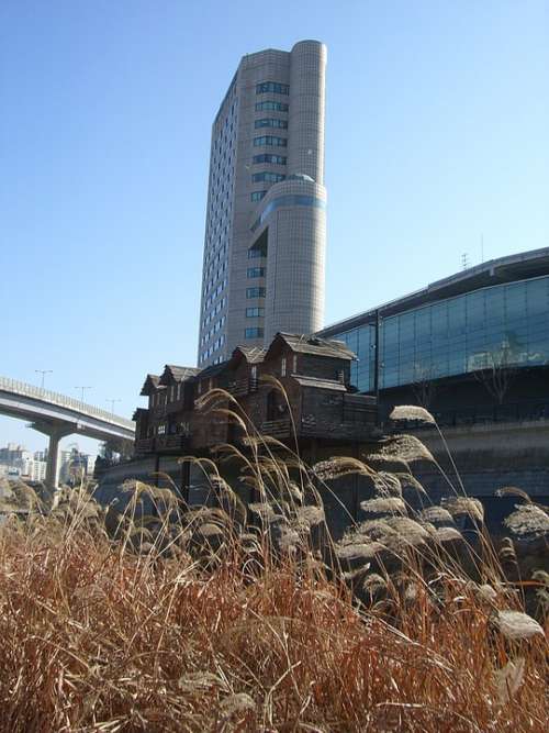 Hochaus Korea Seoul South Korea Building Cityscape