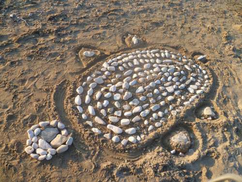 Vacations Beach Sand Stones Corfu Greece Turtle
