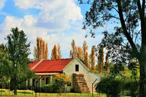 Homestead Farm House Home Trees