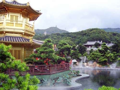Hong Kong Garden Landscape Asia Tree Landscapes