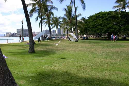 Honolulu Beach Hawaii Park Gull Vacations