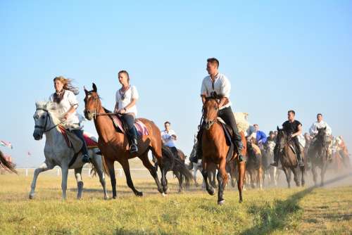 Horse Tradition Rider Horse Riding