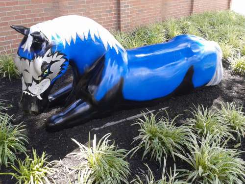 Horse Blue Louisville Kentucky Statue Art