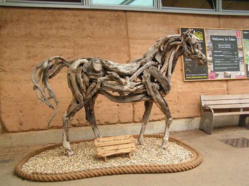 Horse Drift Wood Art Sculpture Eden Project