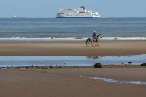 Horse Beach Beach Rider Reiter Sea Ship