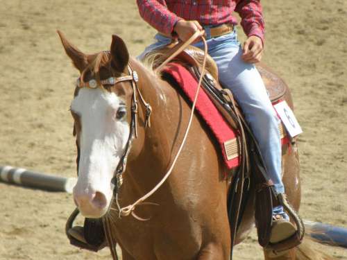 Horse Rider Races Portrait Western Competition