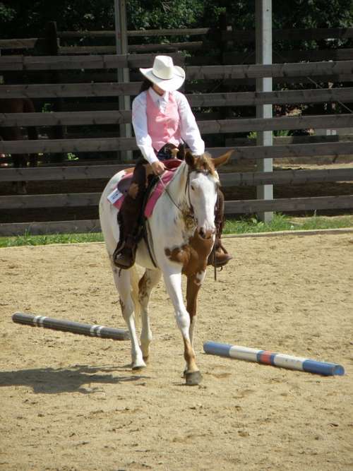 Horse Rider Races Western Competition Seat