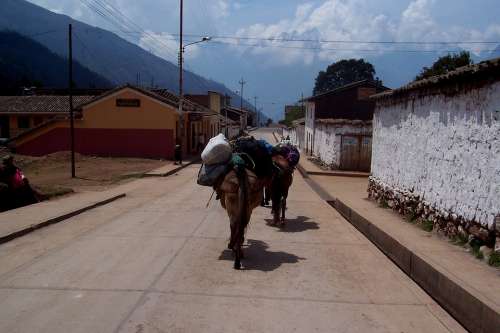Horse Peru Load Carry Burden Sky Travel Street