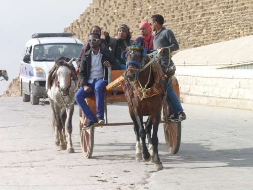 Horse Cart Egypt Tourism