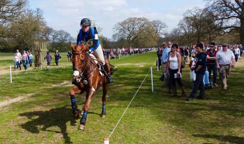 Horse Trails Galloping Rider Outdoor